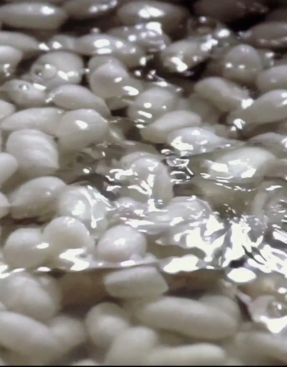 Icicle Suppliers 04 V1