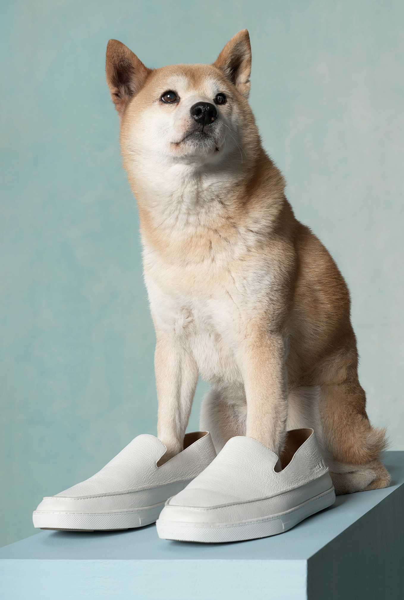 Ow About Stories Block 3v 2