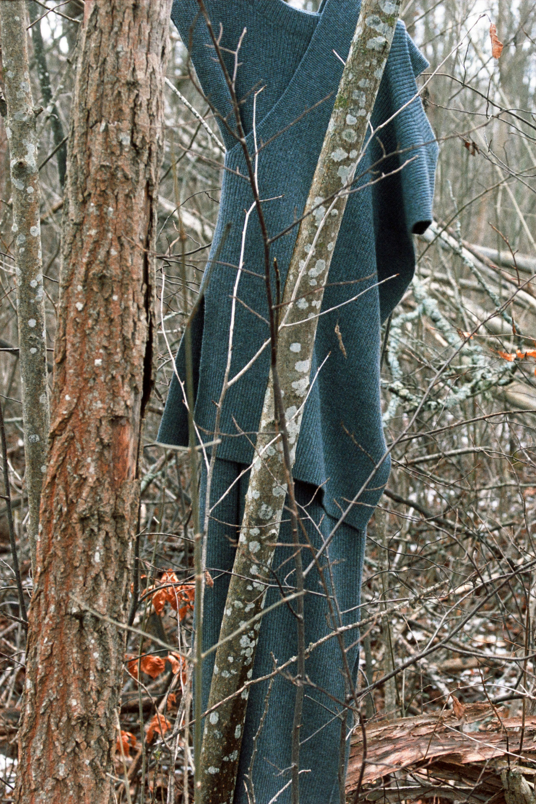 Aw23 Natural Way Still Life 12 Nologo Lr