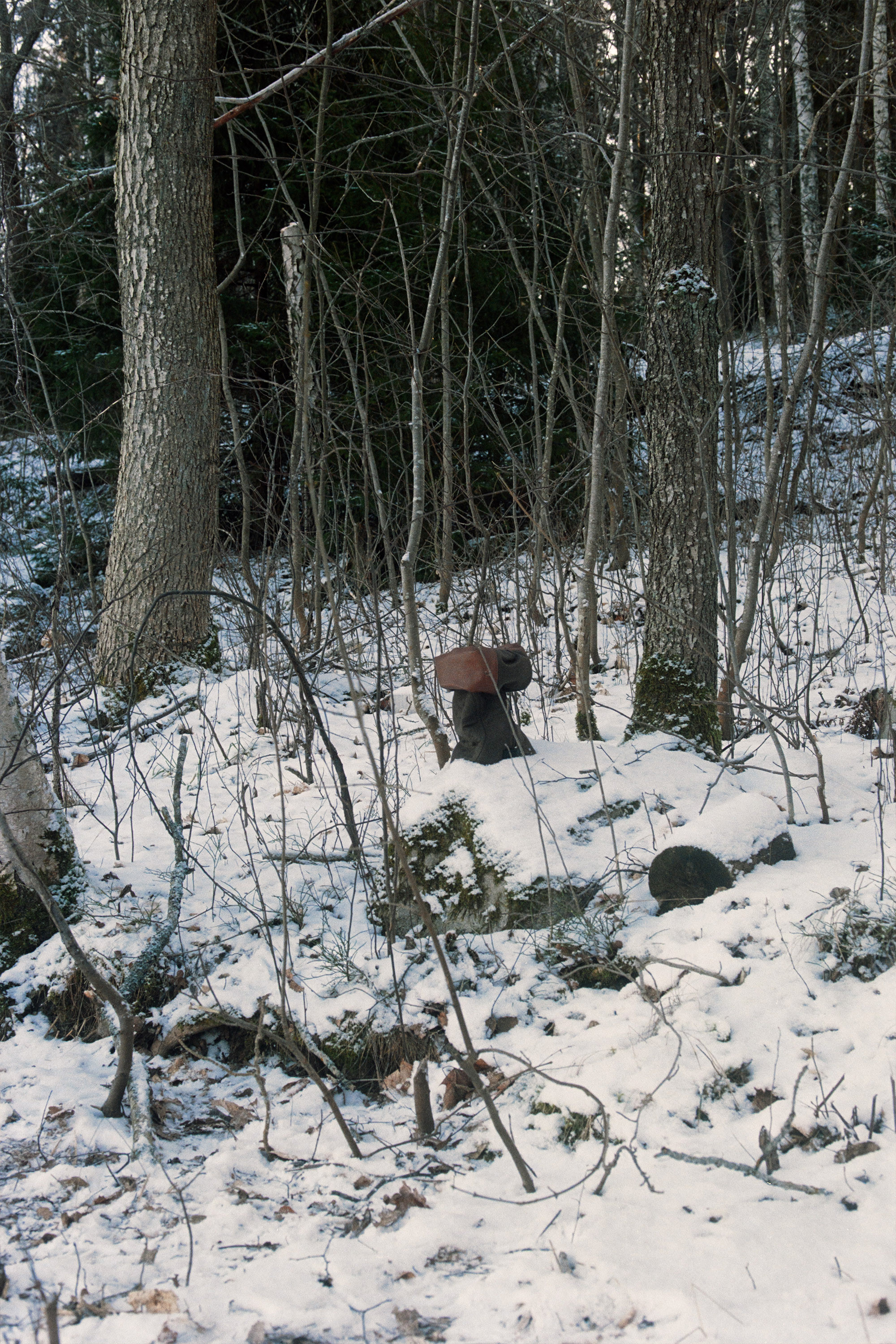 Aw23 Natural Way Still Life 4 Nologo Lr