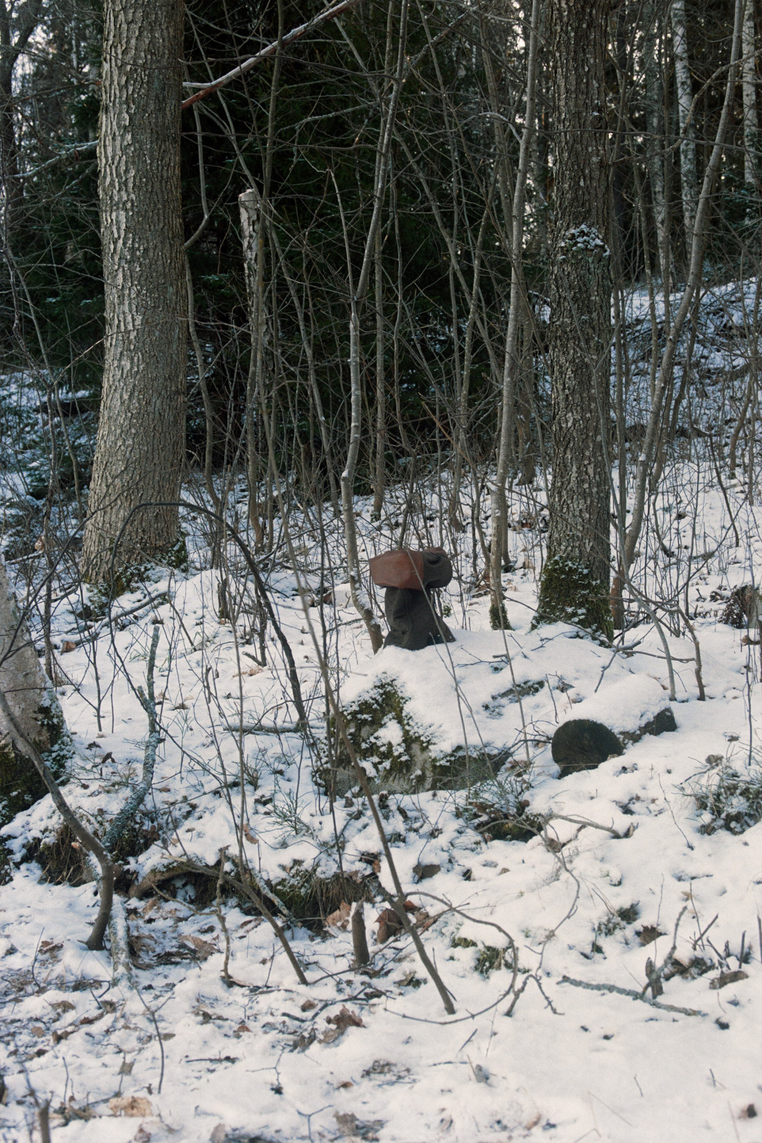 Aw23 Natural Way Still Life 4 Nologo Lr