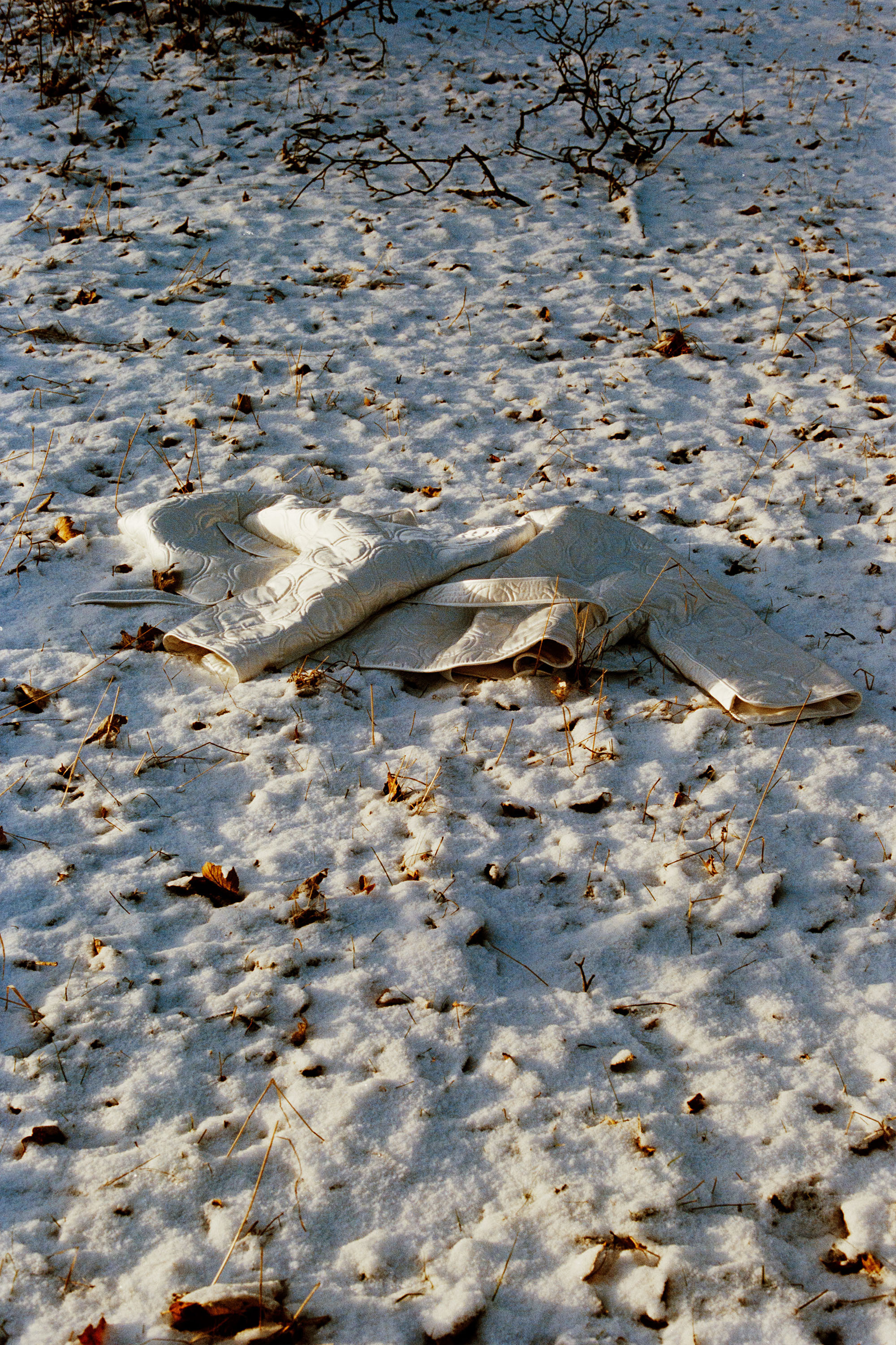 Aw23 Natural Way Still Life 6 Nologo Lr