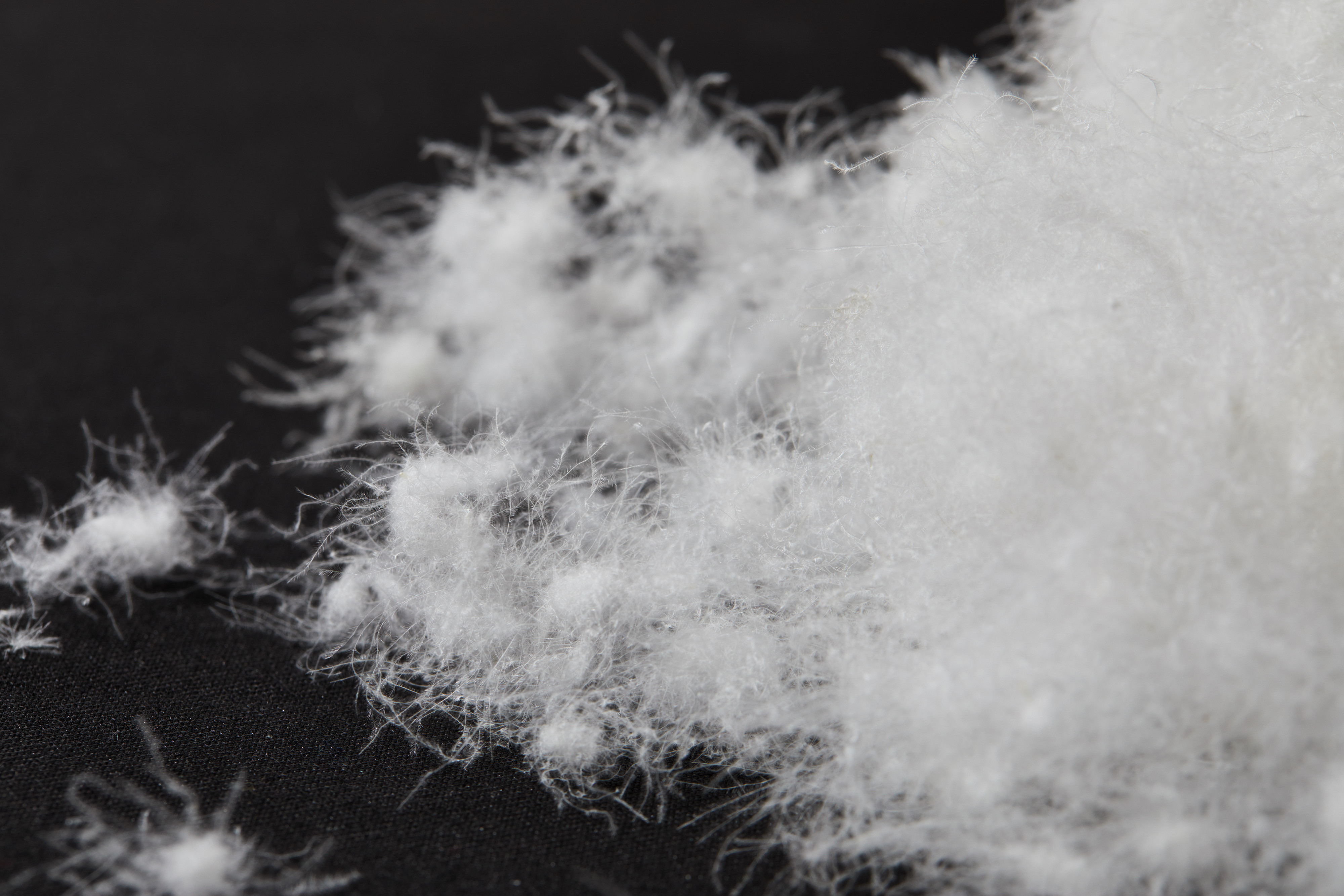 Icicle Women Iconic Down Coat 07