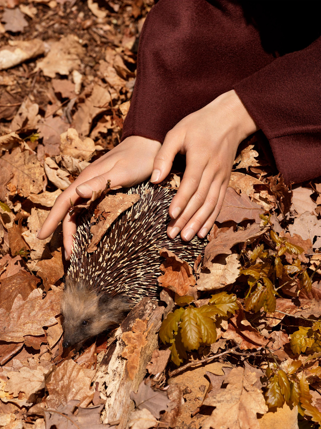 Aw23 Campaign Teaser No Logo Lr 1