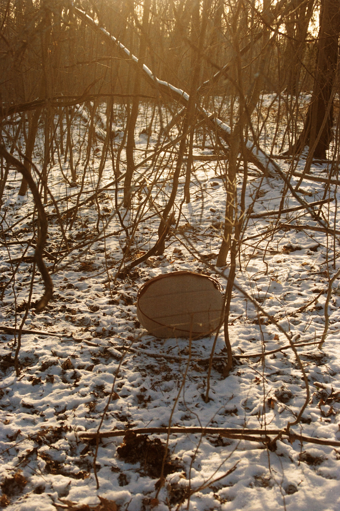 Aw23 Natural Way Still Life 1 Nologo Lr