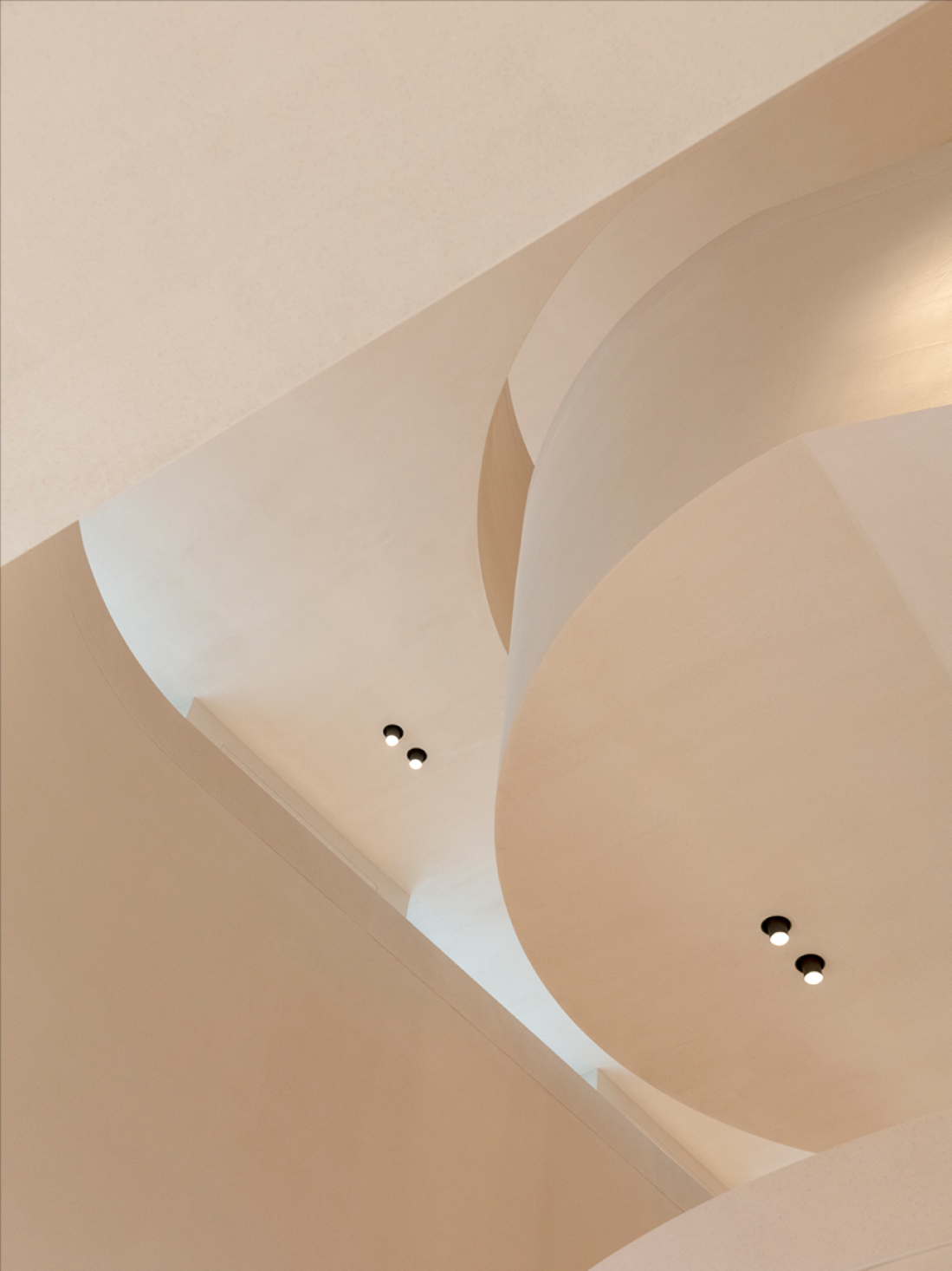 50fsh Lowres No Logo 11